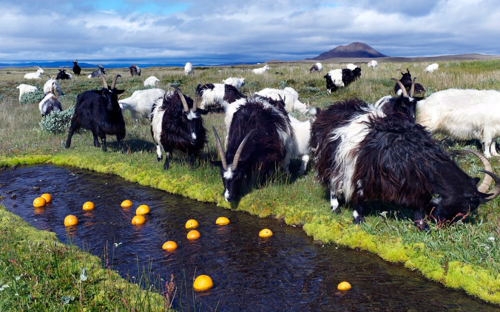 Miss O&rsquo;Range / Photographic work